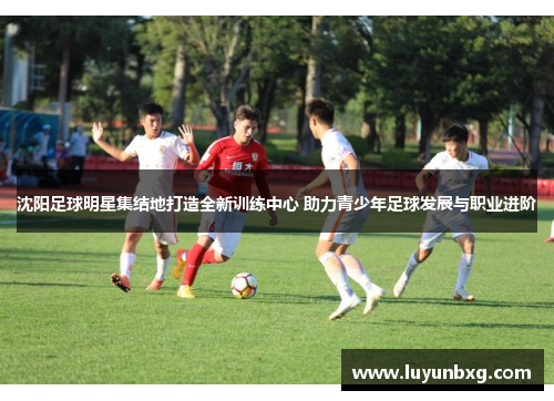 沈阳足球明星集结地打造全新训练中心 助力青少年足球发展与职业进阶