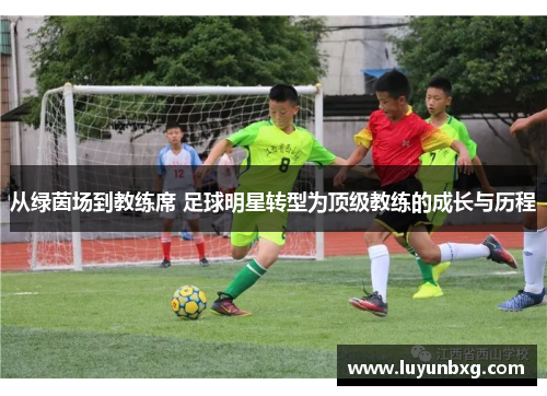 从绿茵场到教练席 足球明星转型为顶级教练的成长与历程