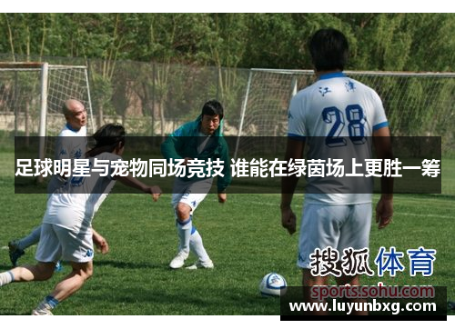 足球明星与宠物同场竞技 谁能在绿茵场上更胜一筹