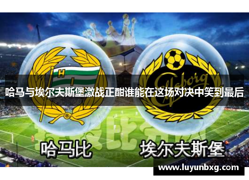 哈马与埃尔夫斯堡激战正酣谁能在这场对决中笑到最后